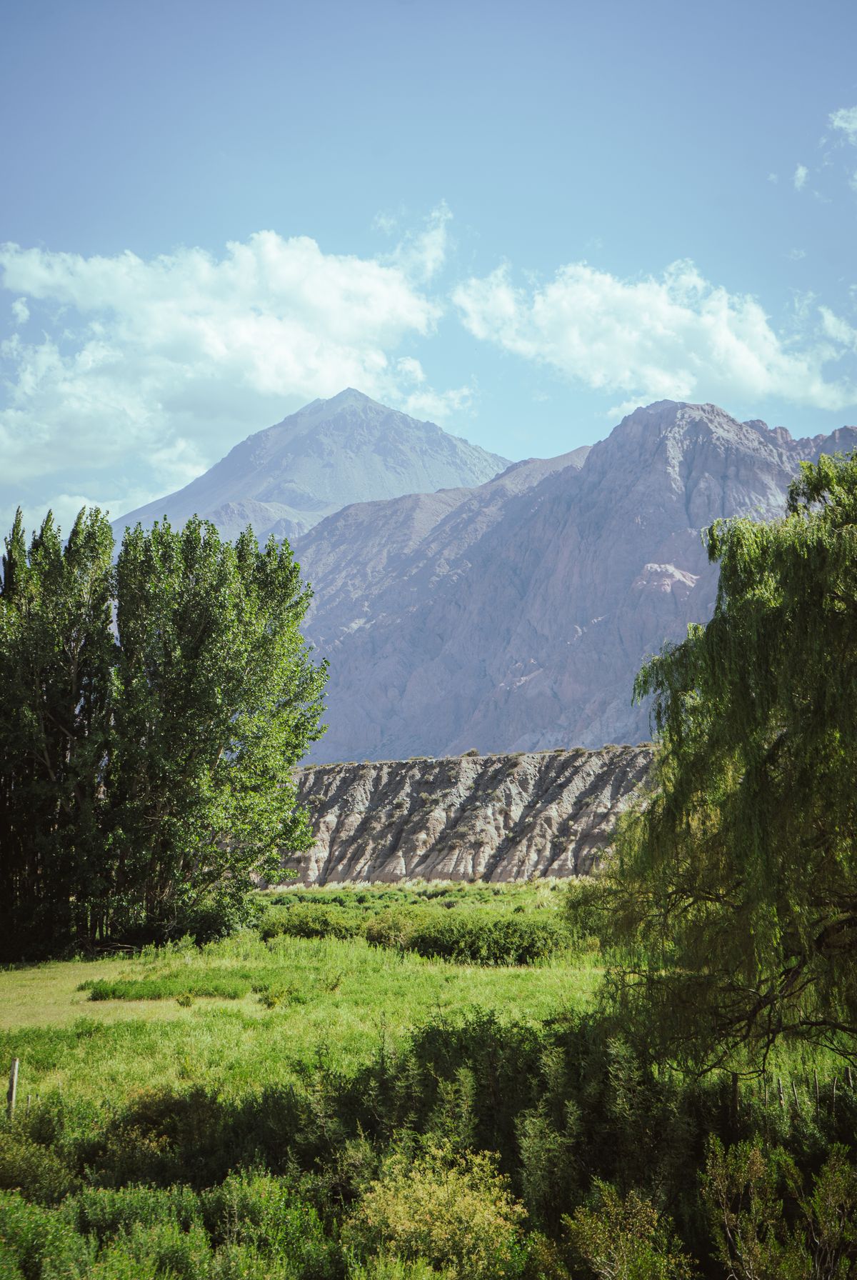 Alta Montaña