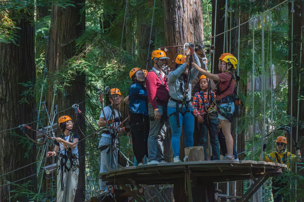 Canopy
